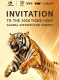 Convite para a Cúpula Global de Distribuidores da Tiger Head de 2026