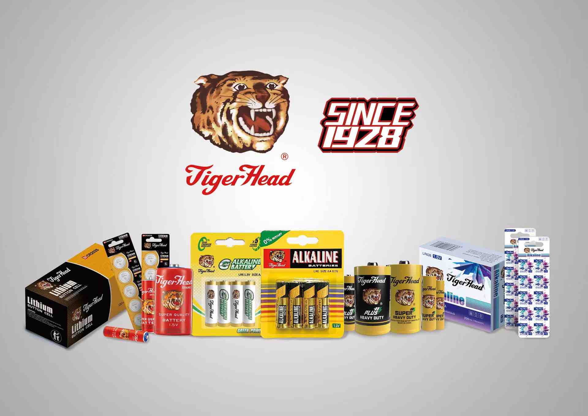 A empresa Tiger Head Battery realizou uma reunião especial sobre proteção ambiental